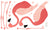 Love Mae Flamingo Wall Sticker